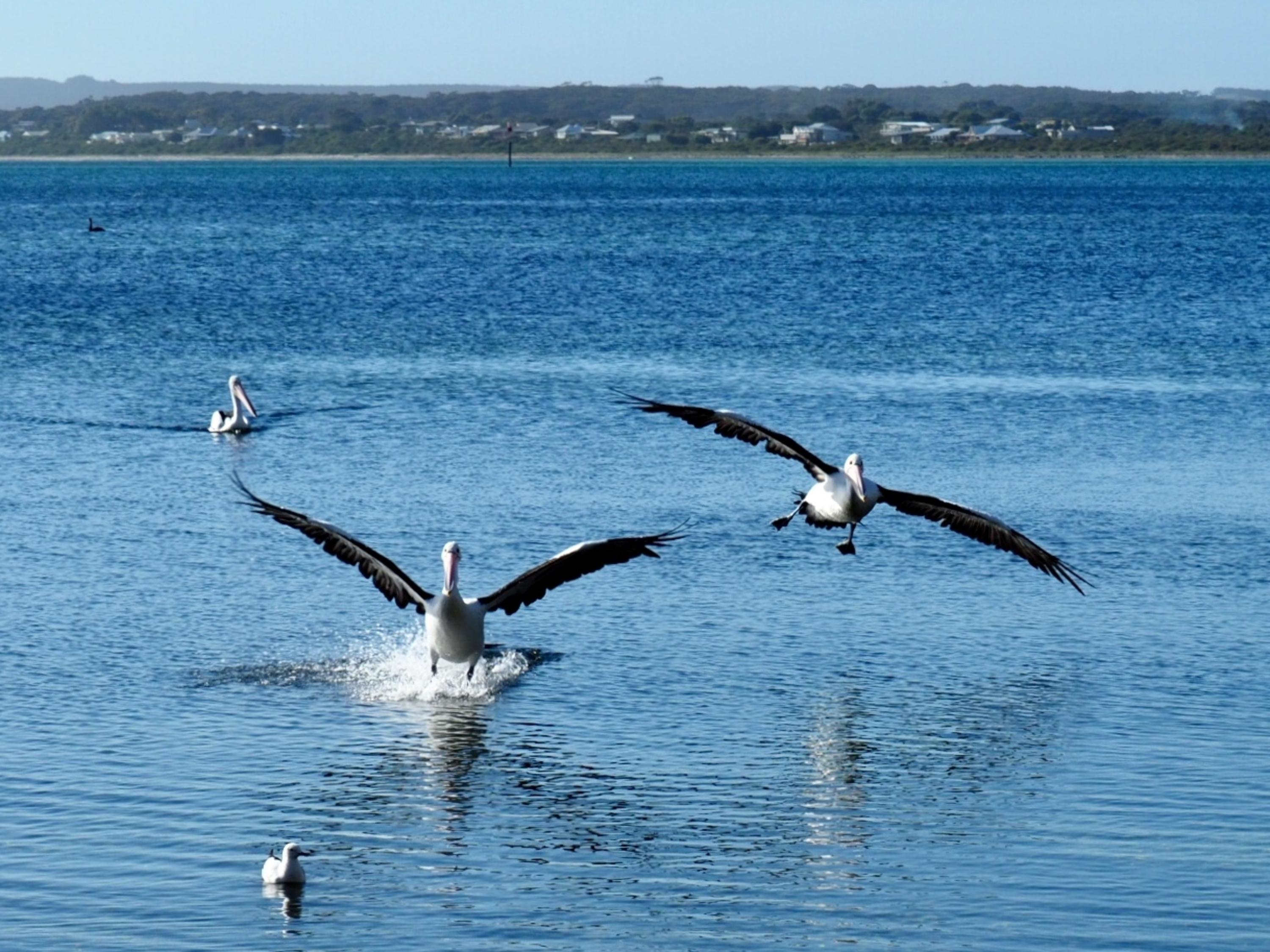 Mercure Kangaroo Island Lodge American River Exterior foto