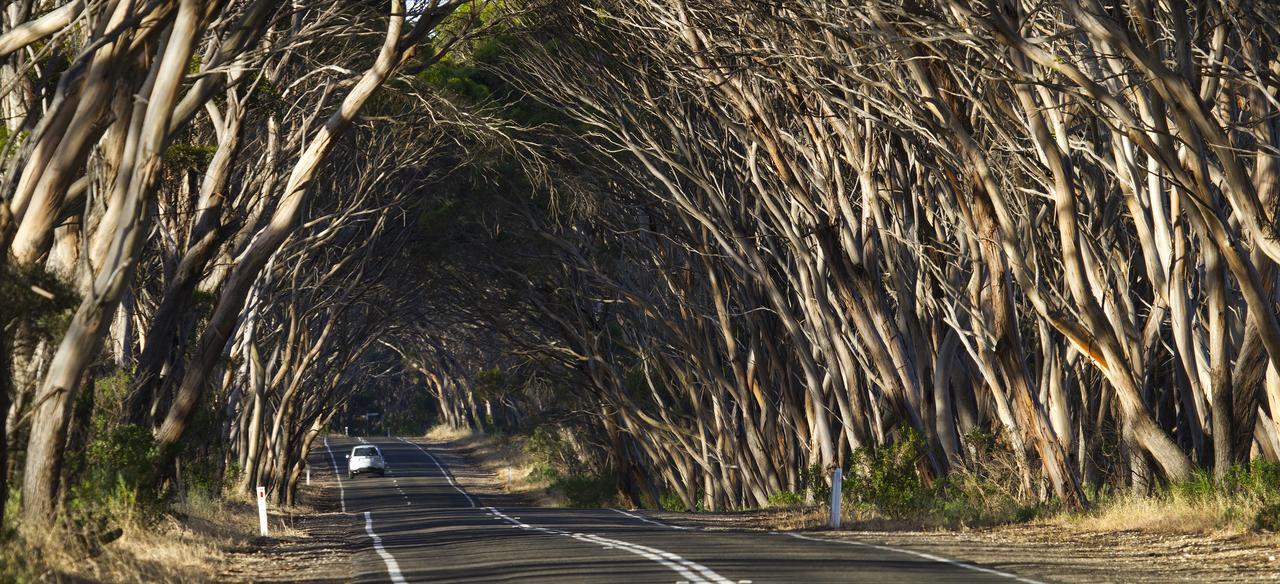 Mercure Kangaroo Island Lodge American River Exterior foto