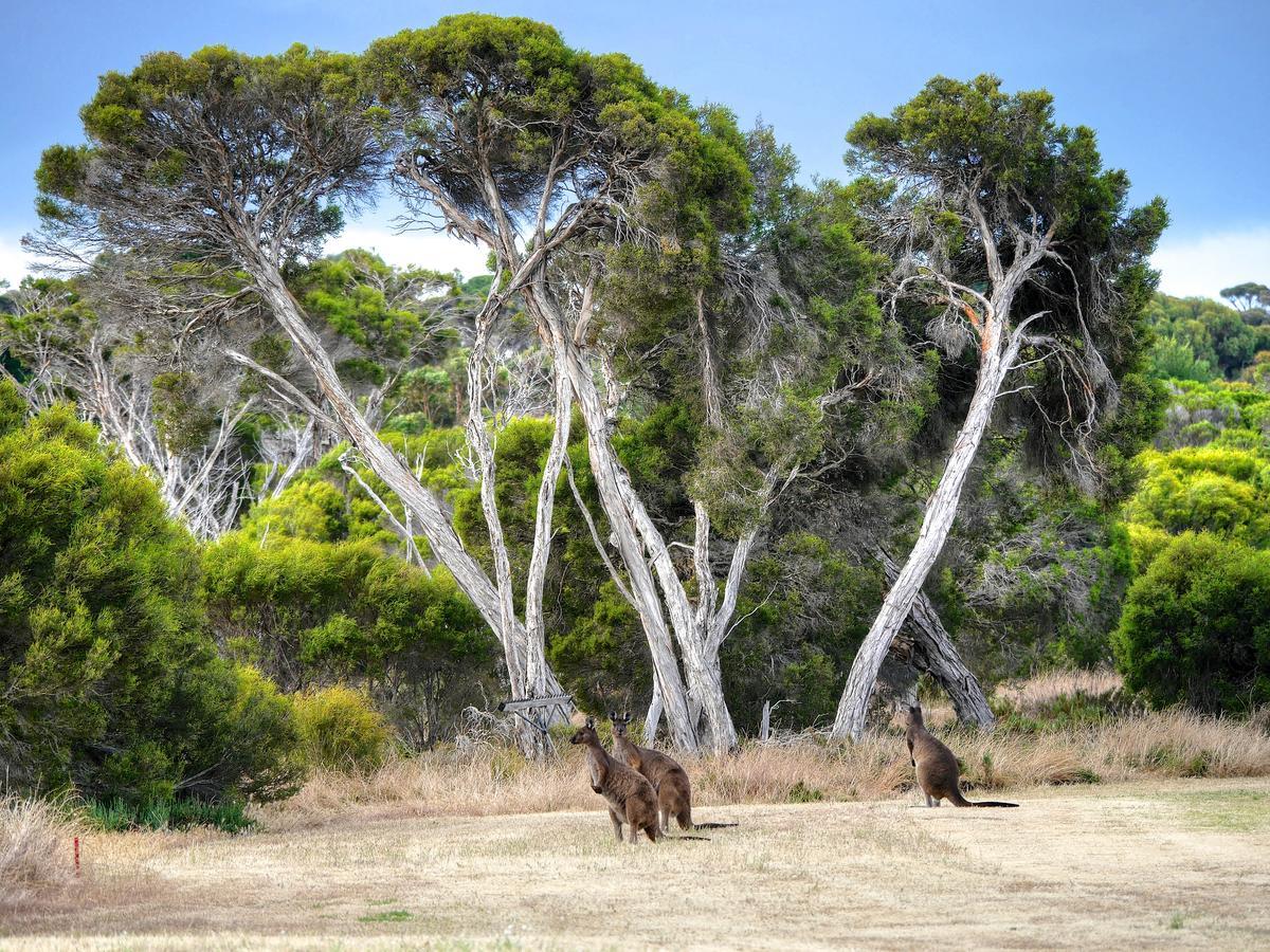 Mercure Kangaroo Island Lodge American River Exterior foto